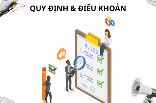 Quy định và điều khoản