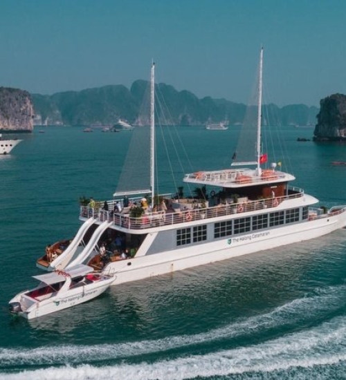 Du thuyền Catamaran 1 ngày
