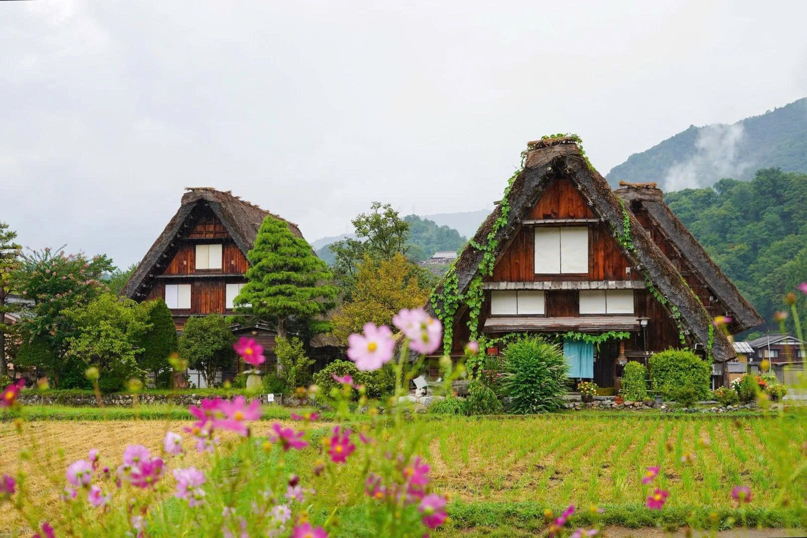HÀ NỘI – LÀNG CỔ SHIRAKAWAGO – PHÚ SĨ - TOKYO 6N5Đ